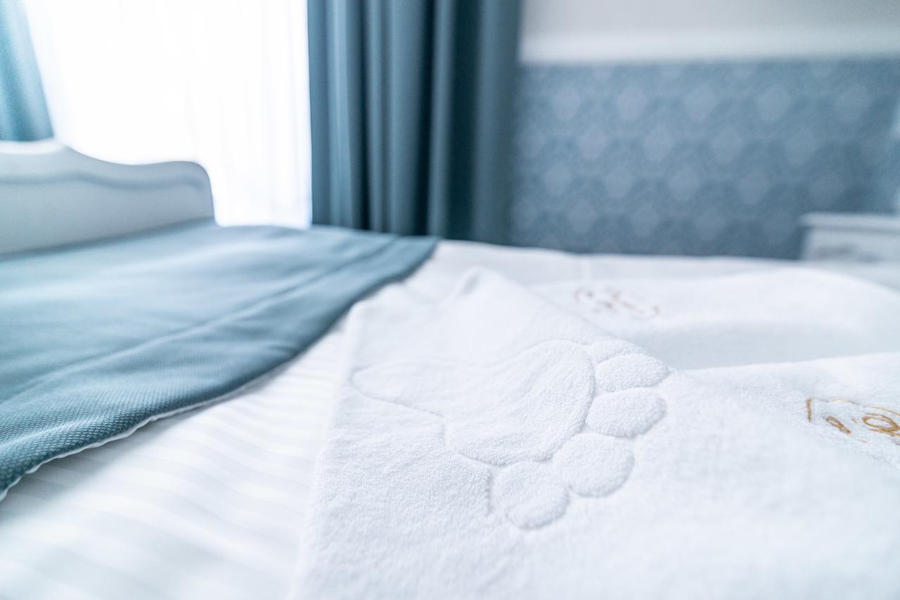 Premium - Bed & Breakfast Malbork Buitenkant foto